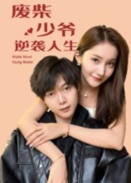 廢柴少爺?shù)哪嬉u人生