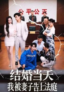 結(jié)婚當天我被妻子告上法庭
