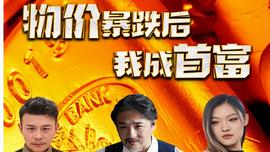 物價暴跌后我成了首富
