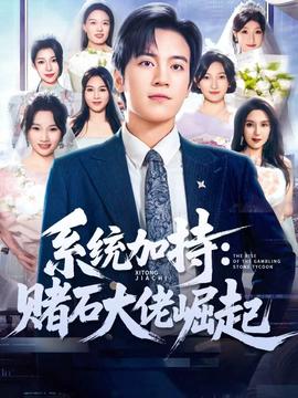 統(tǒng)加持：賭石大佬崛起