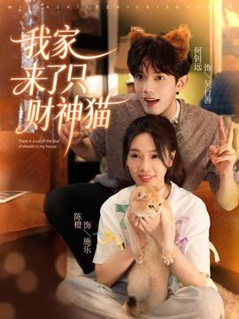 我家來了只財神貓